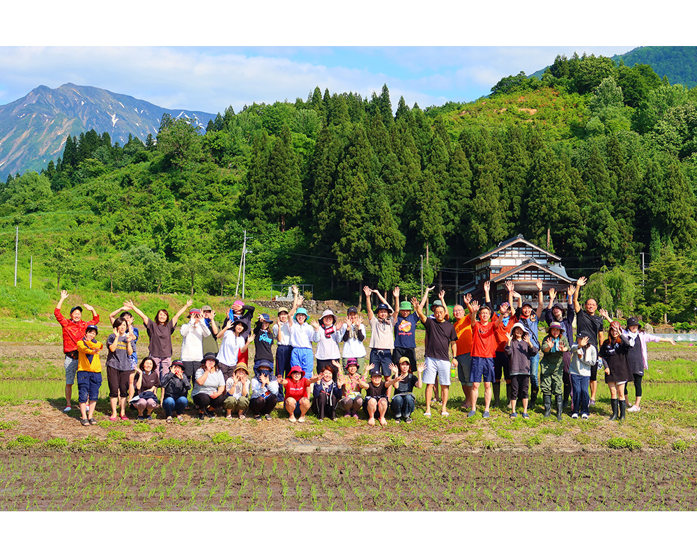 「第一生命 新潟支社、長岡支社」のみなさんが、南魚沼市で田植えを行いました。 バイオマスレジンホールディングス